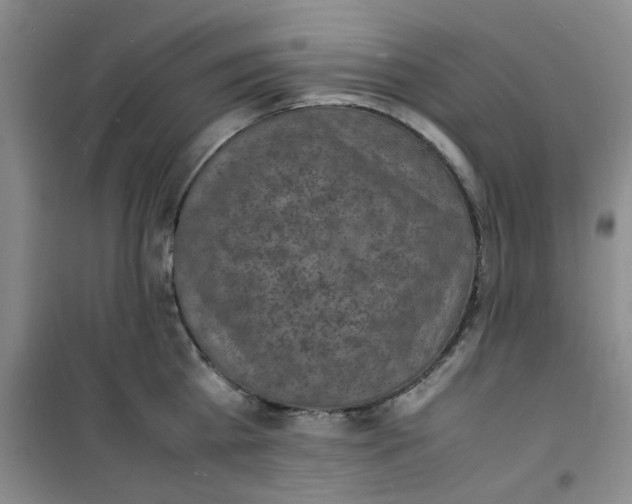 X0000100980809200807151414