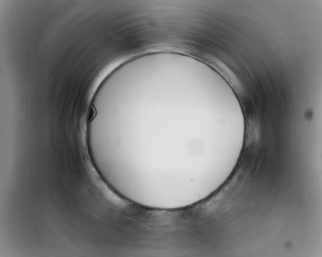 X0000100980812200807151414