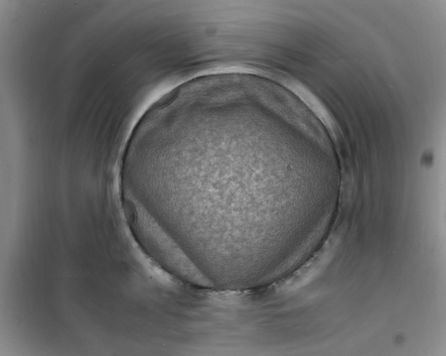 X0000100980813200807151414