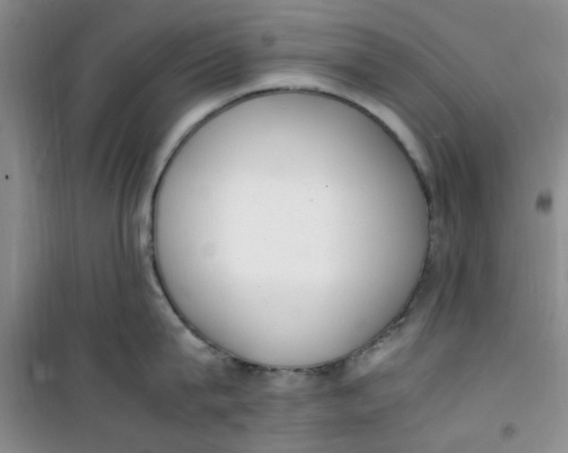 X0000100980815200807151414