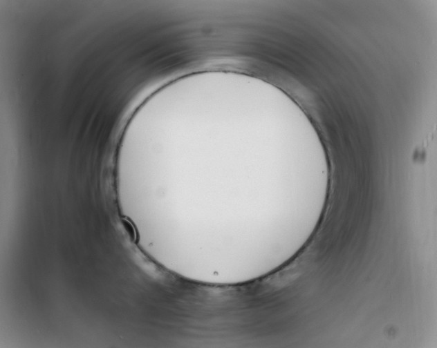 X0000100980816200807151414