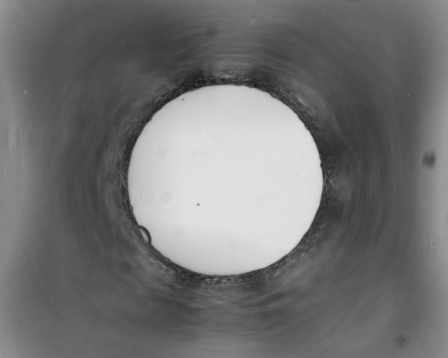 X0000100980817200807151413