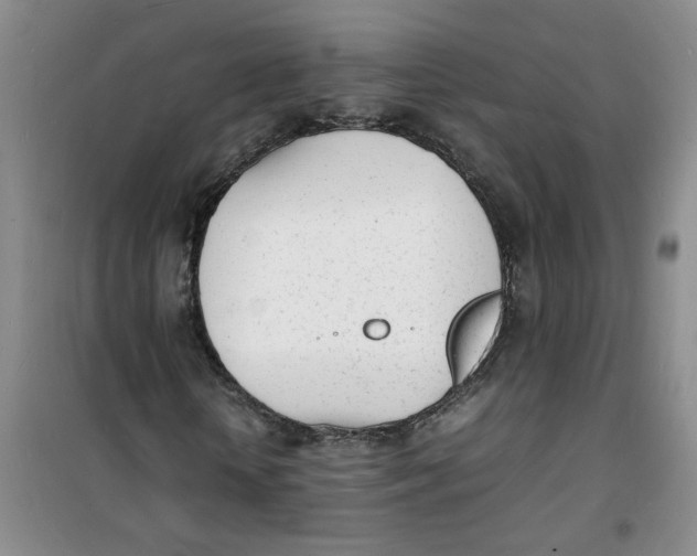 X0000100980818200807151413