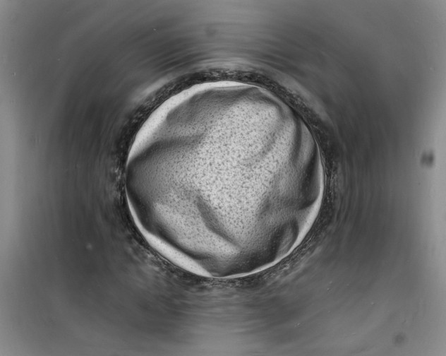 X0000100980822200807151413