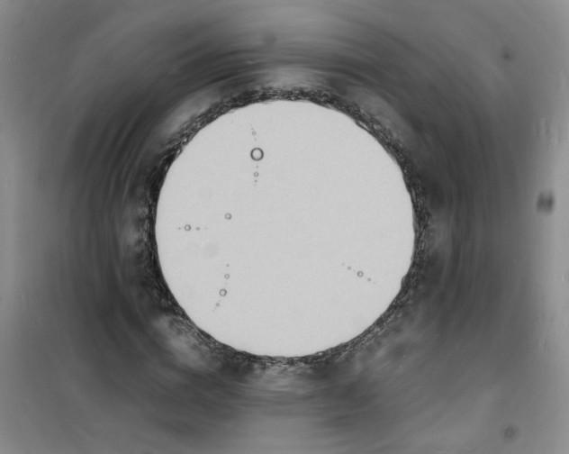 X0000100980824200807151413