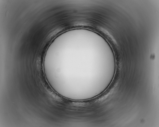 X0000100980825200807151413