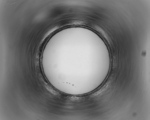 X0000100980827200807151413