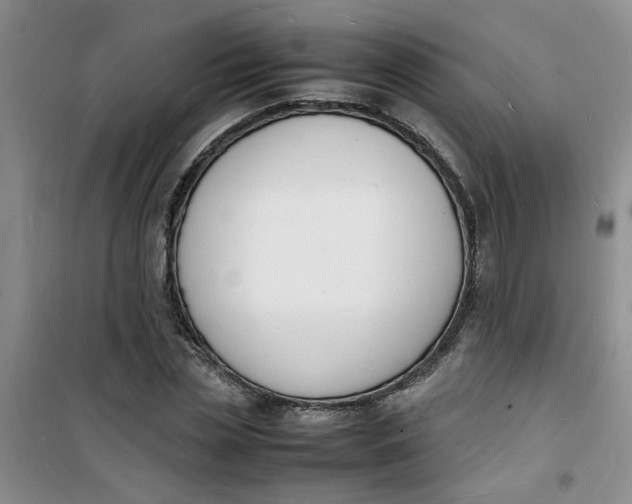 X0000100980829200807151413