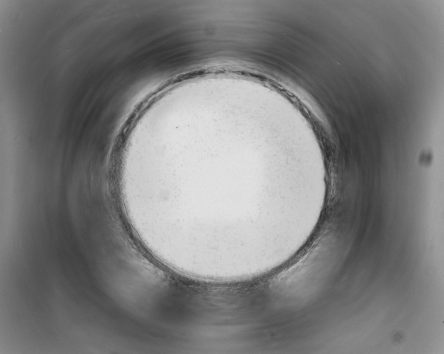 X0000100980832200807151413