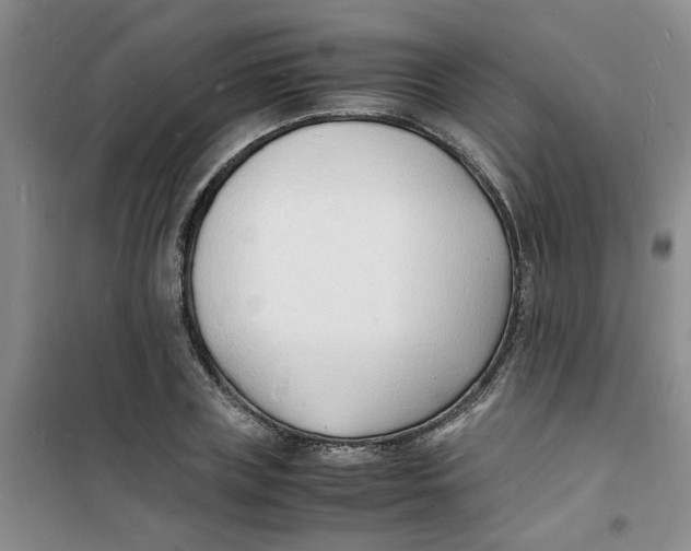 X0000100980835200807151413