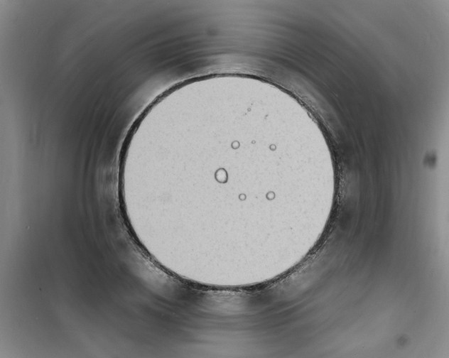 X0000100980836200807151413