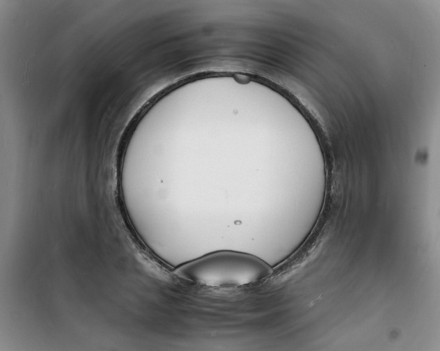 X0000100980837200807151413