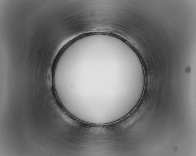 X0000100980838200807151413