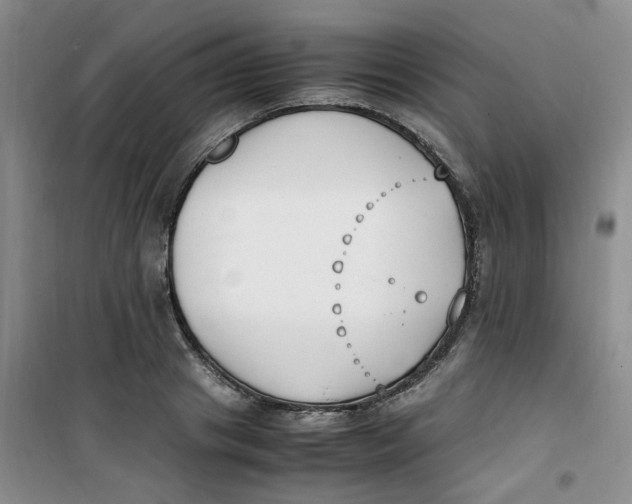 X0000100980841200807151413