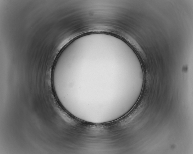 X0000100980842200807151413