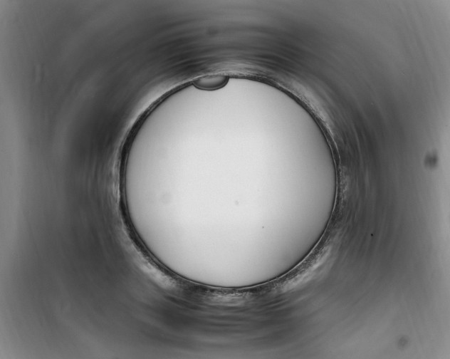 X0000100980843200807151413