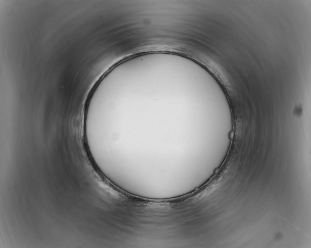 X0000100980844200807151413