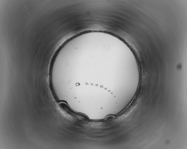 X0000100980845200807151413