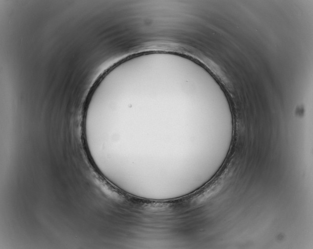 X0000100980846200807151413