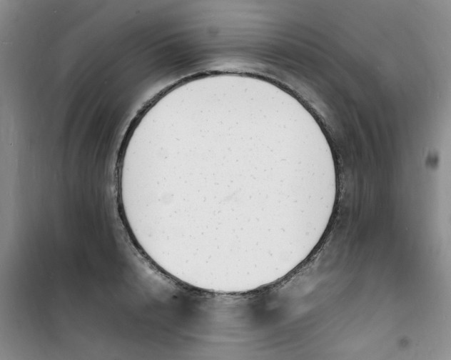 X0000100980848200807151414