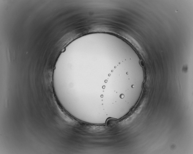 X0000100980849200807151414