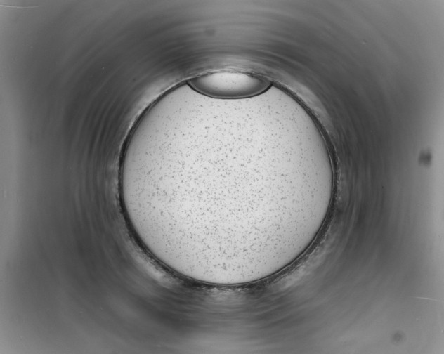 X0000100980850200807151414