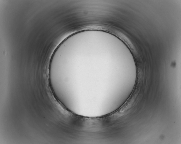 X0000100980852200807151414