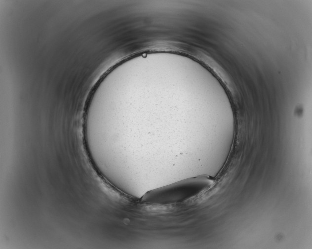 X0000100980853200807151414