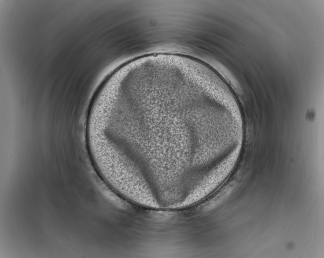 X0000100980854200807151414