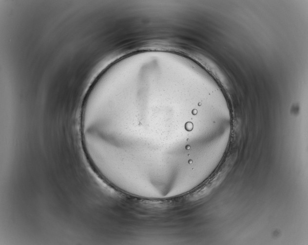 X0000100980855200807151414