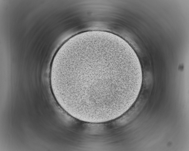 X0000100980856200807151414