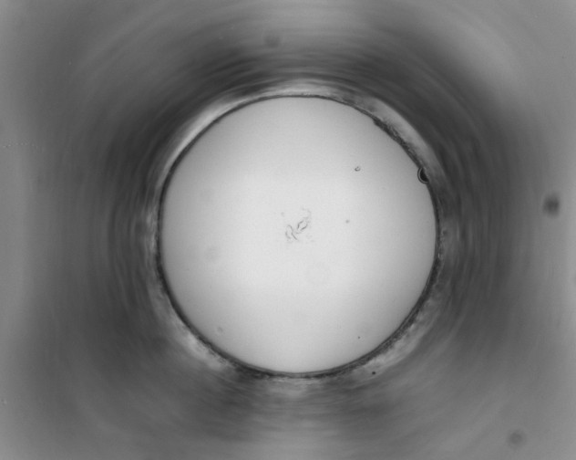 X0000100980860200807151414