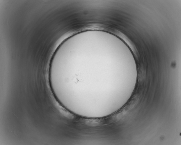 X0000100980861200807151414