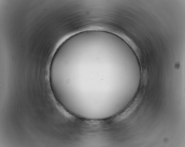 X0000100980862200807151414