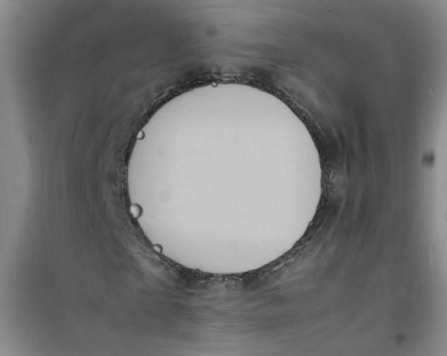 X0000100980865200807151413