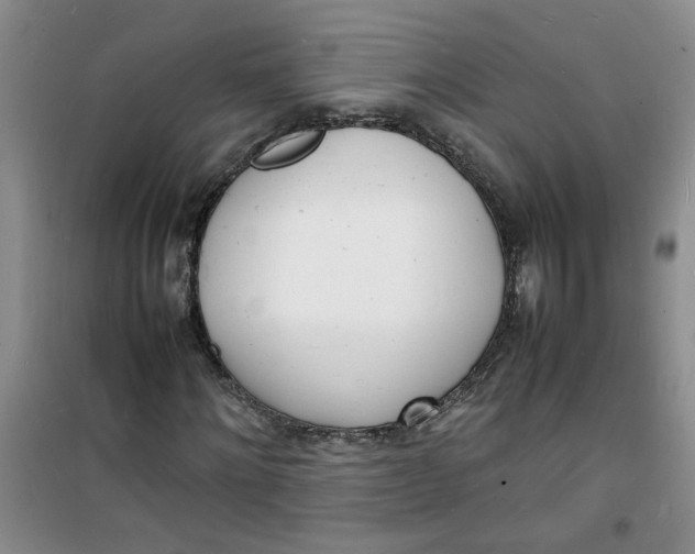 X0000100980868200807151413