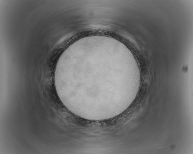 X0000100980869200807151413