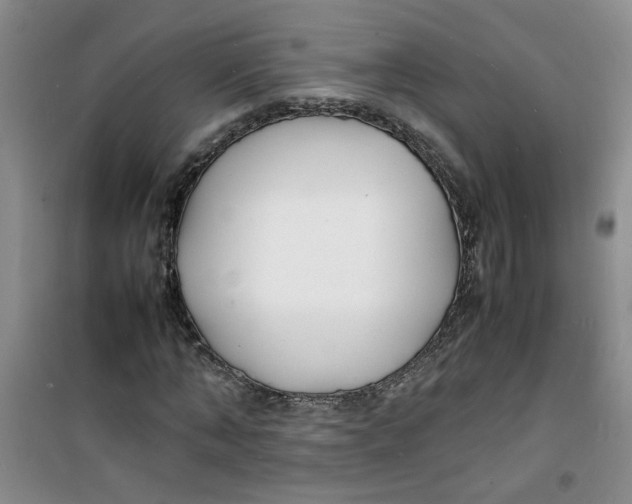 X0000100980870200807151413