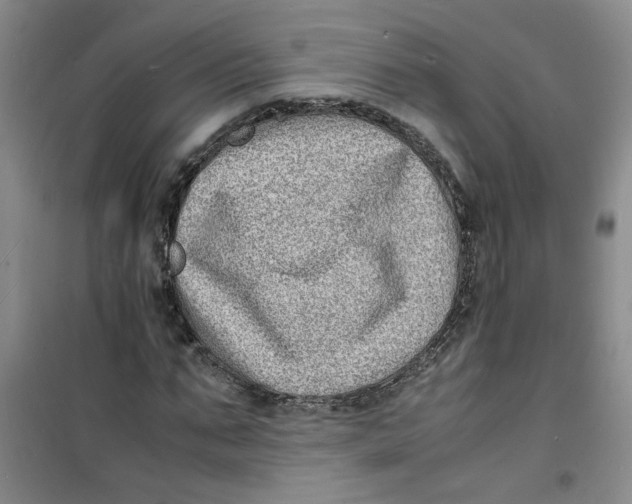 X0000100980871200807151413