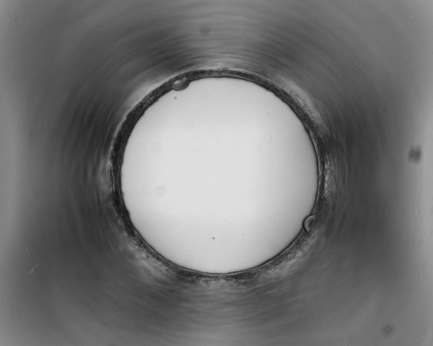 X0000100980876200807151413