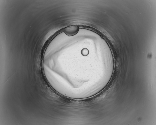 X0000100980877200807151413