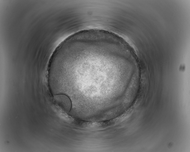 X0000100980879200807151413