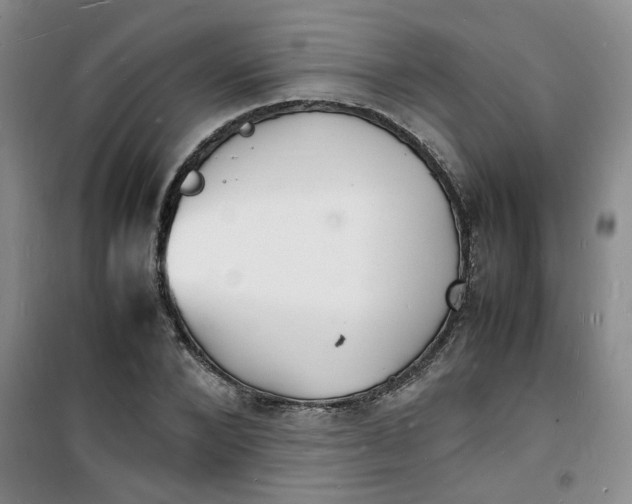 X0000100980880200807151413