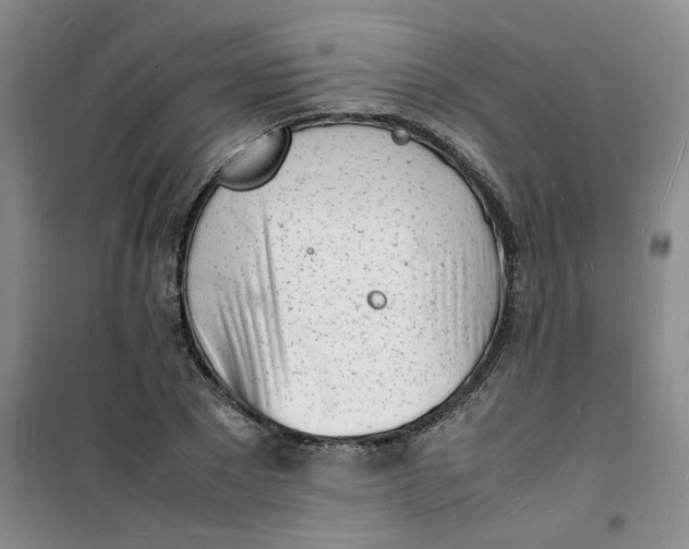 X0000100980881200807151413