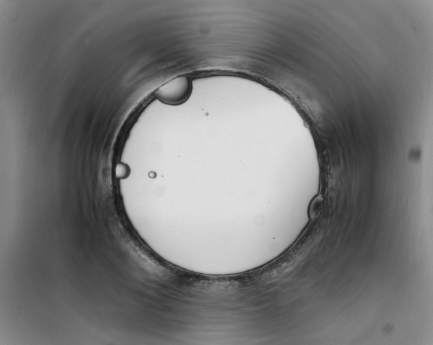 X0000100980884200807151413