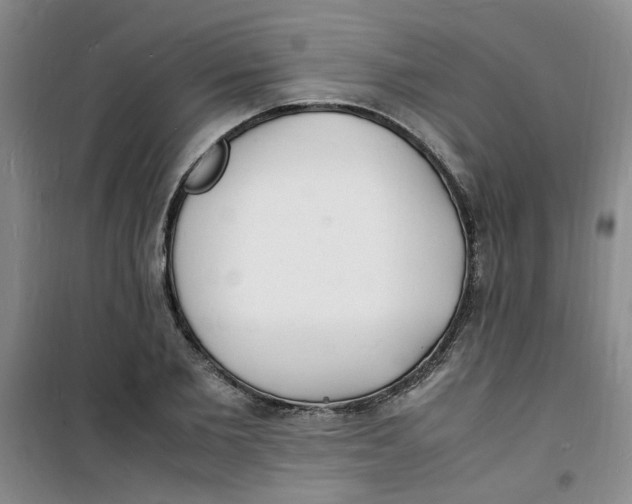 X0000100980885200807151413