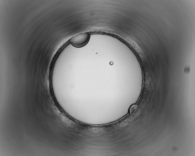 X0000100980888200807151413