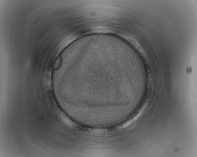 X0000100980889200807151413