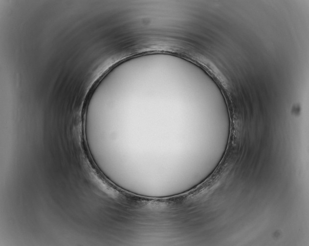 X0000100980890200807151413