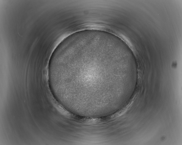 X0000100980891200807151413